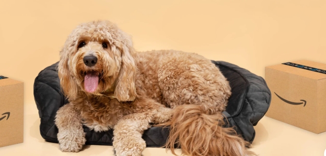 宠物标品在亚马逊滞销，如何判断是价格问题还是运营问题？有什么渠道和方式帮助清库存？