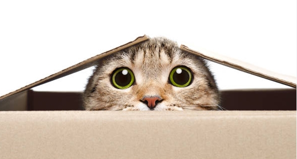 哪些推广设置场景比亚马逊Deal更好用？