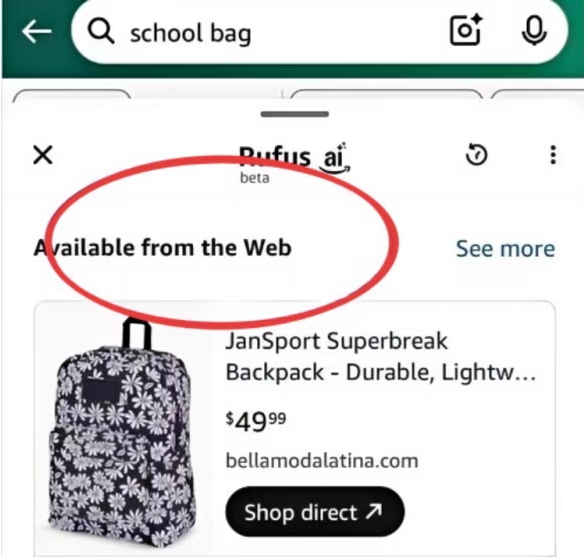 Rufus开始推荐站外商品了？亚马逊这是要把独立站“收编”进来吗？