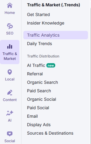 Semrush 的 Traffic Analytics