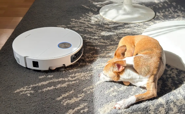 宠物类目真正的机会，不在“大品类”，在“生活动作”