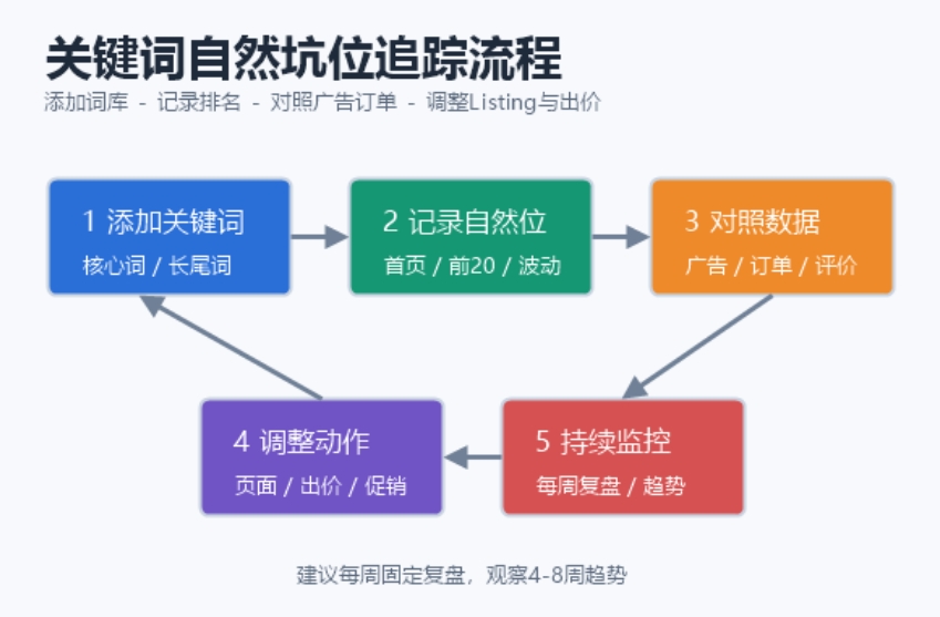 如何通过 卖家精灵 (SellerSprite) 等工具实时追踪关键词的自然坑位变化?